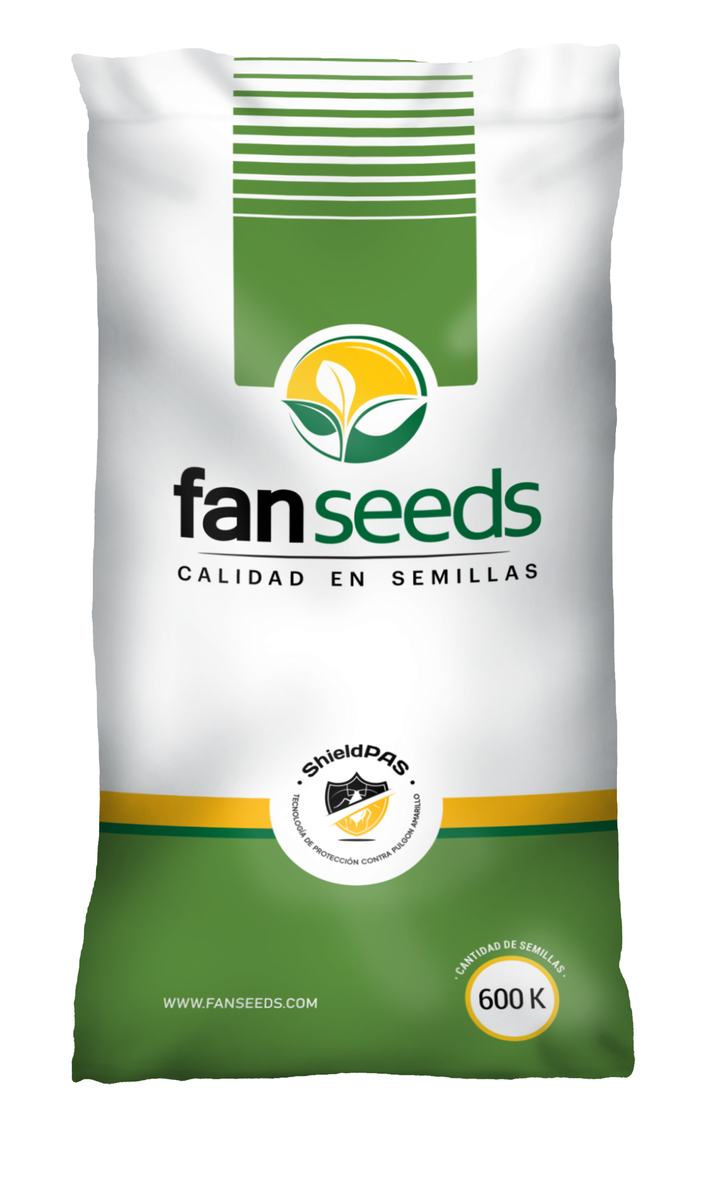 FAN 173 AT SHIELD PAS